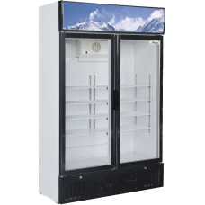 Шафа холодильний Forcar G-SNACK638L2TNG