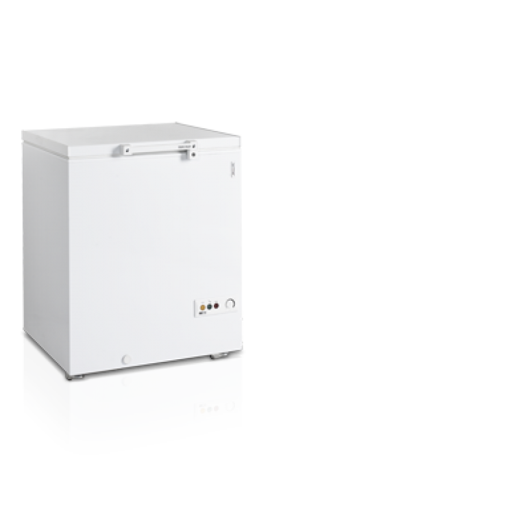Ларь морозильный с глухой крышкой TEFCOLD FR205-I