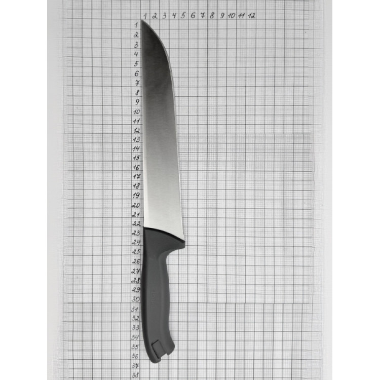 Ніж для м'яса, GASTRO 250 мм, сірий PRG37105-11 Pirge Сірий